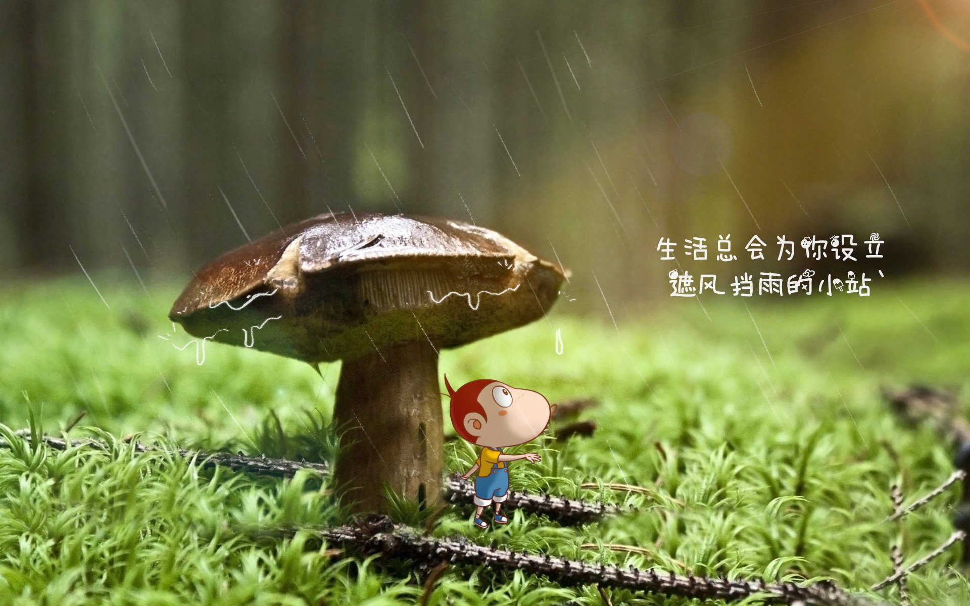 半场悬念：54-51，北京队略占优势，比赛火药味十足！，北京队战绩