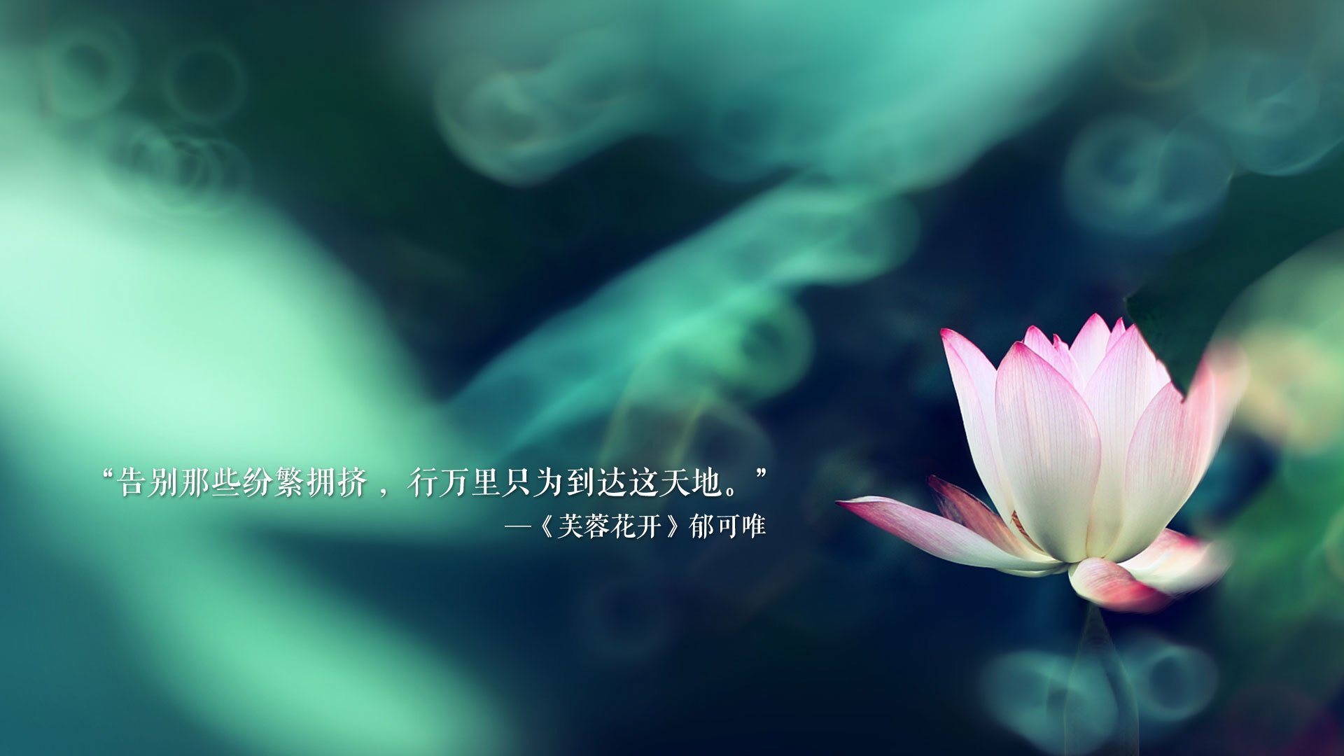 环球海钓大赛，海浪中的钓鱼梦想 journey，海钓世界记录