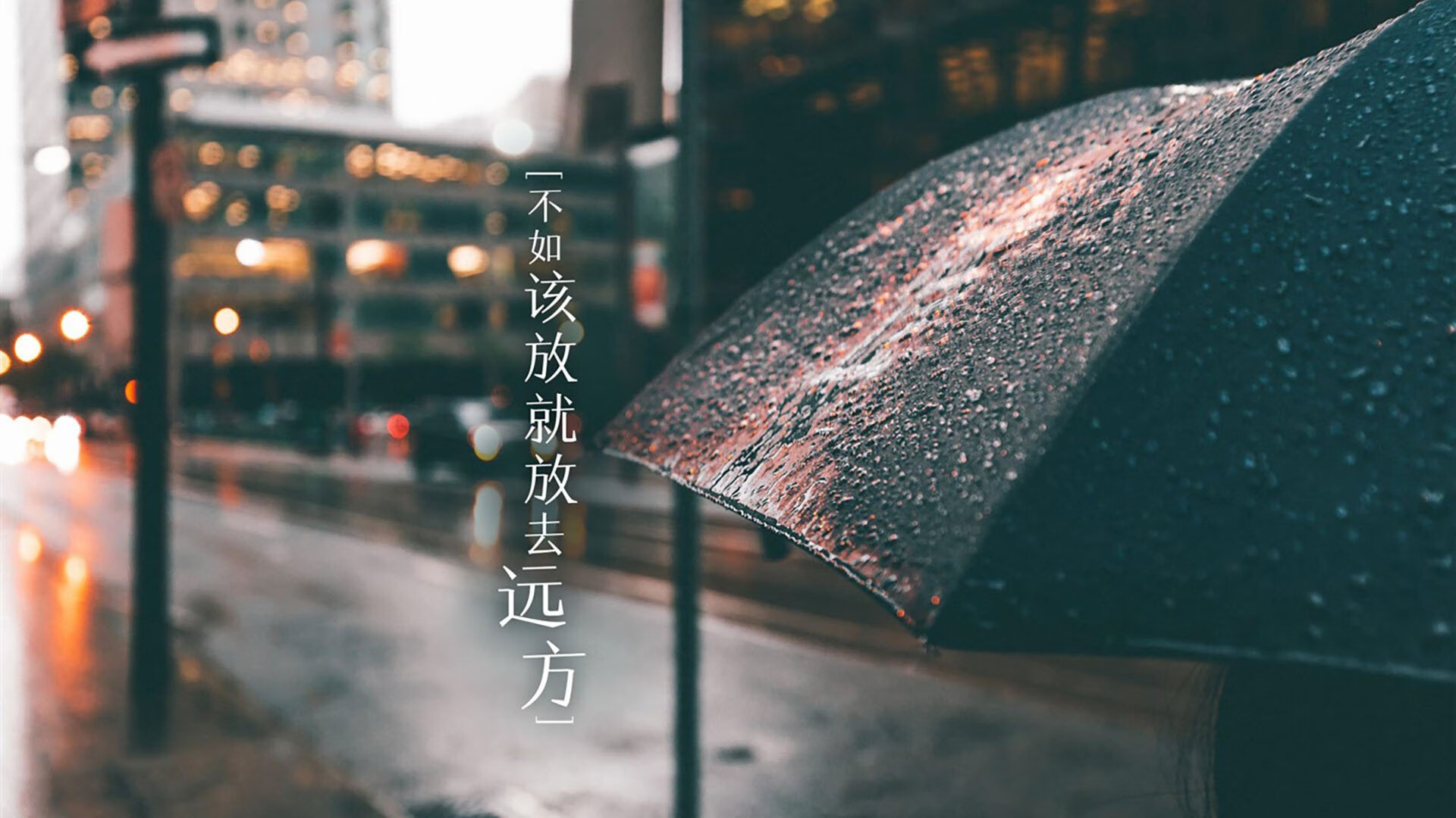 马拉松比赛全民参与，跑出健康新高度，马拉松比赛举办