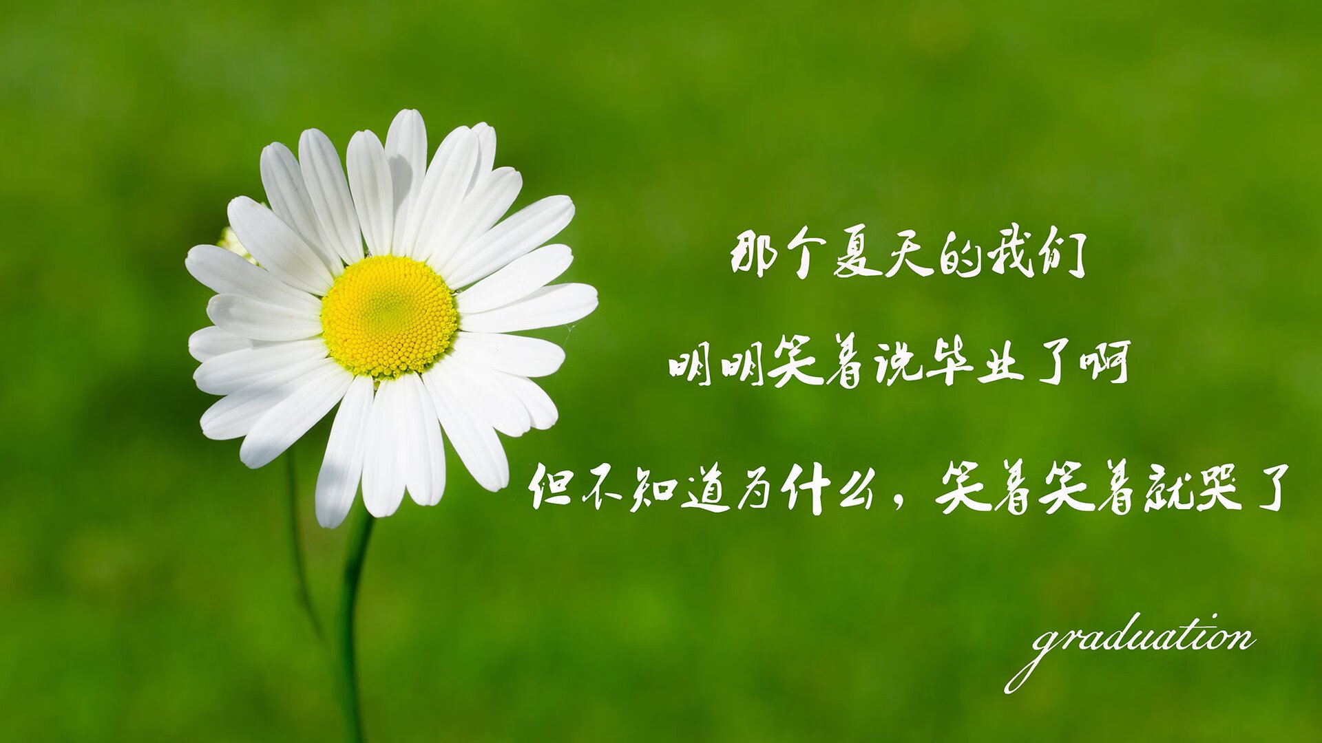 kaiyun 开云体育-开拓者队重回胜利轨道，球队信心重燃，开拓者队是哪个城市的