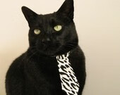 开云官网APP下载-“2025游泳锦标赛新加坡：顶尖选手争锋，金牌花落谁家？”