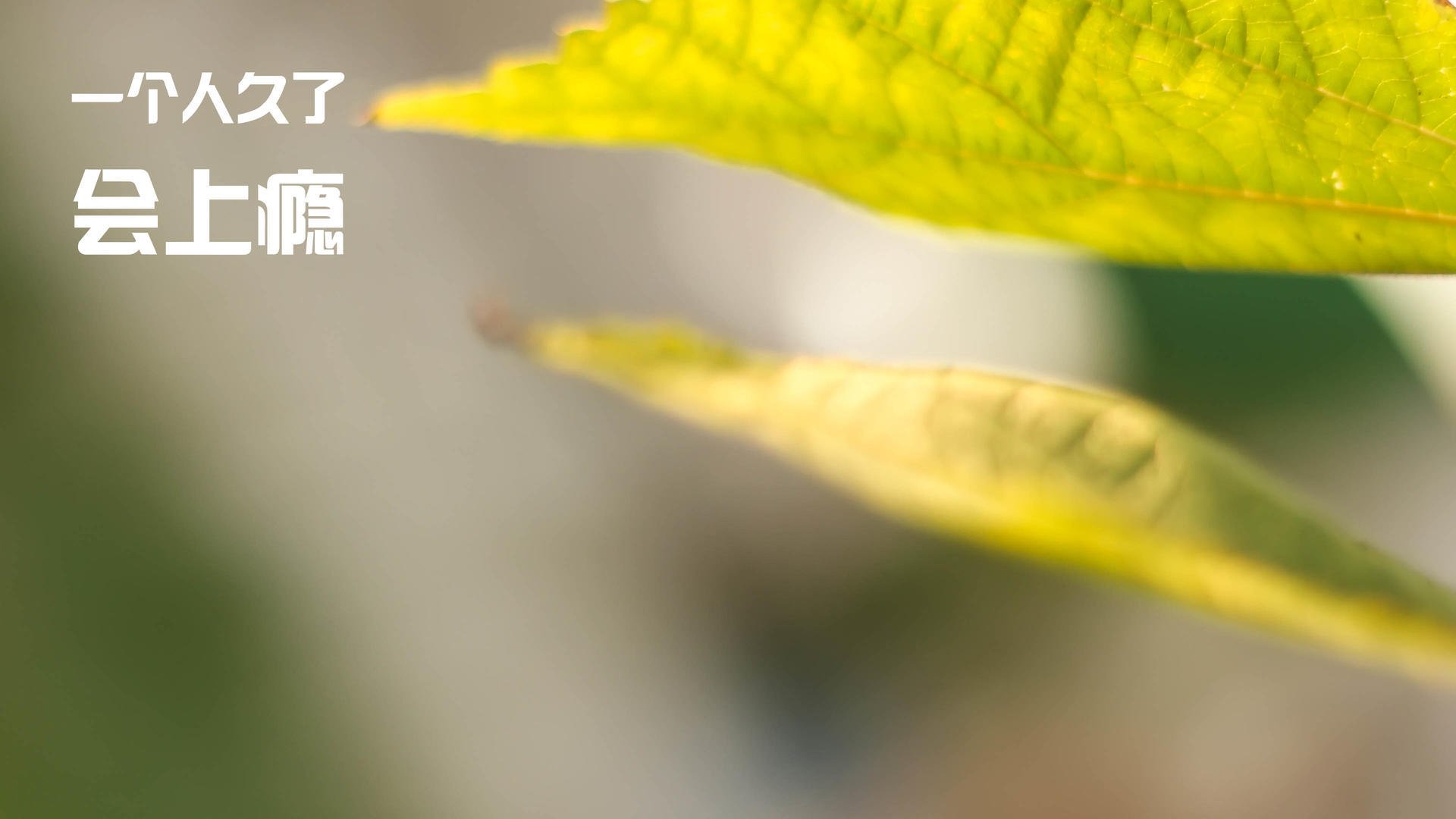 kaiyun-“天府校区台球赛：技术与心理的双重较量”