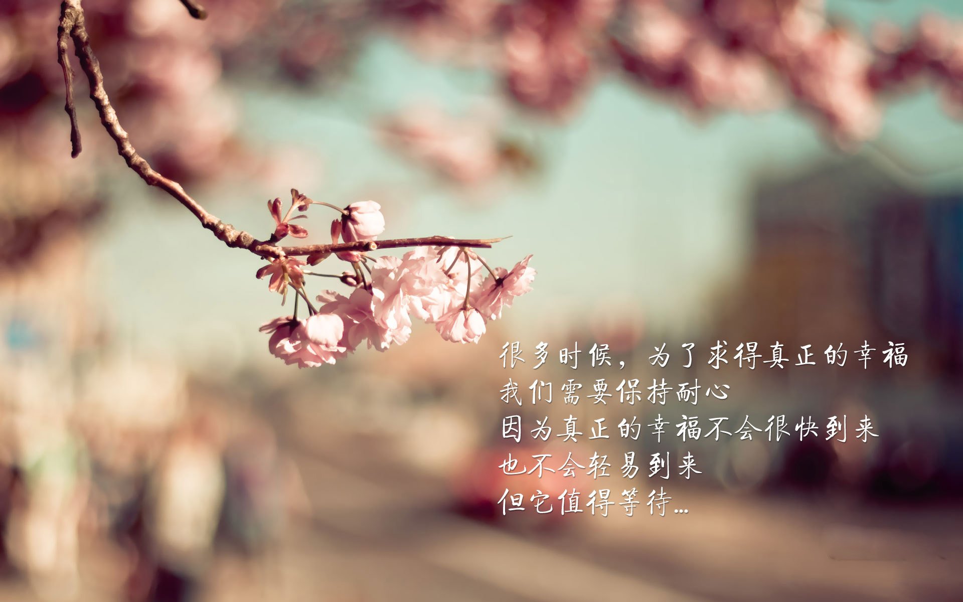 中国三人篮球女队注重阵容轮换均衡发展，中国三人女子篮球国家队