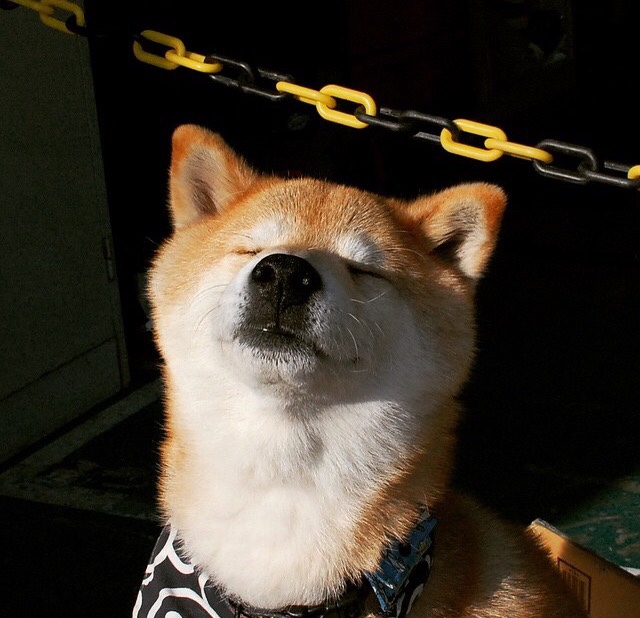 亚洲杯中国女足逆袭 球员发挥出色,2020中国女足亚洲足球小姐