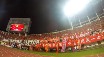 kaiyun登录入口-场馆设施翻新完成比赛场地改造计划推进，场馆设计方案