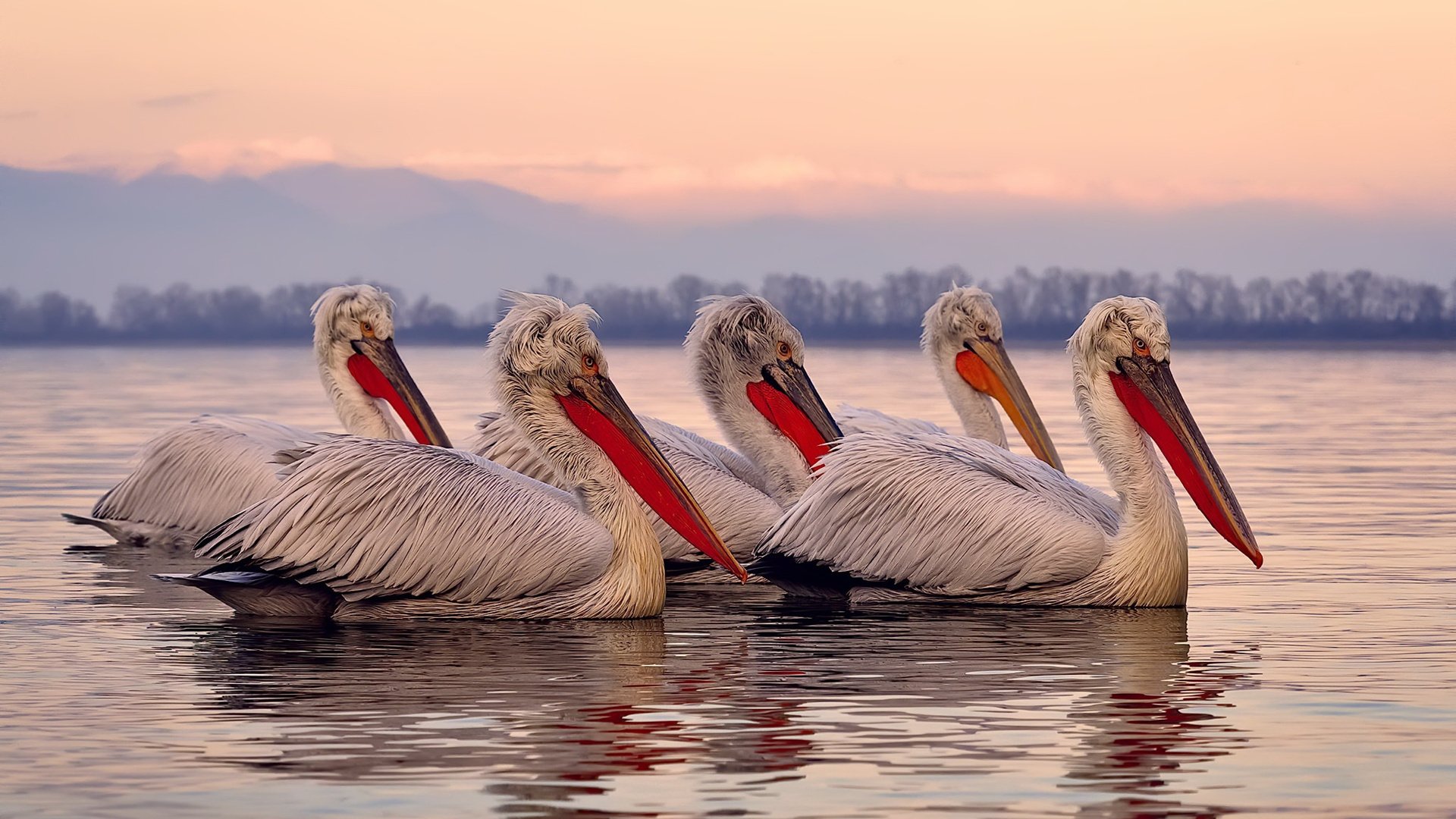 欧洲杯战术变革：多变阵型，妙要无穷！，欧洲杯d组形势