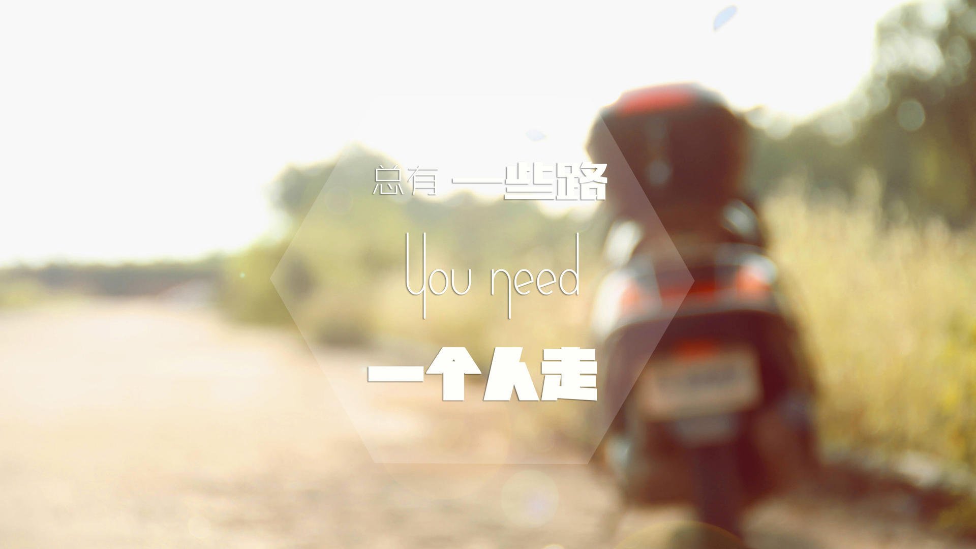 西甲闪耀世界杯：明星球员的巅峰之战，西甲足球明星