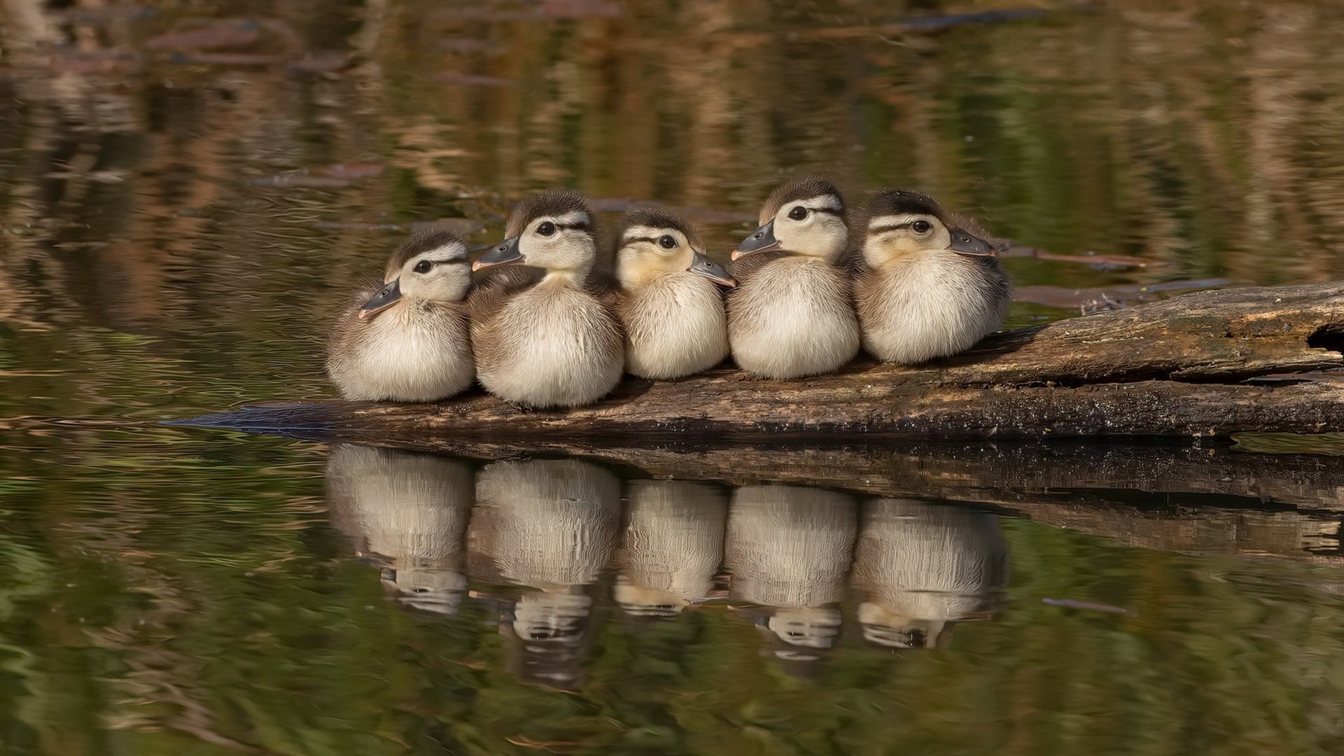 足球青训基地建设提速，足球青训基地建设提速措施
