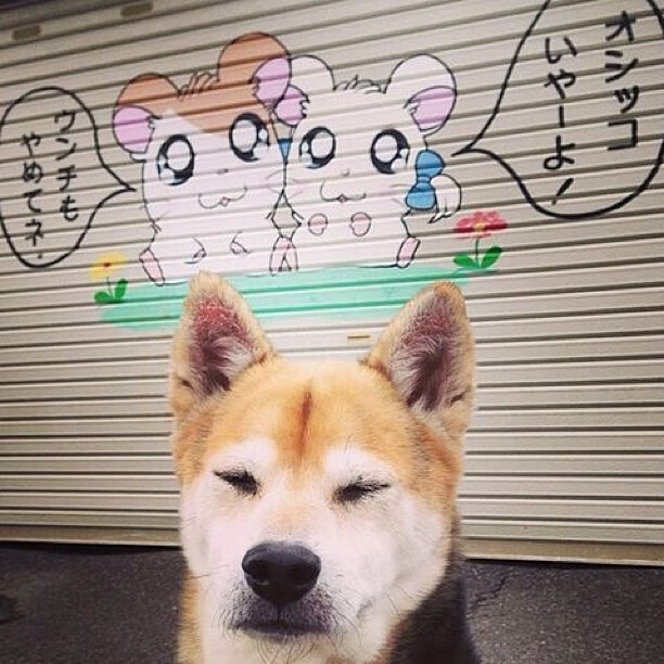 雄鹿主力伤愈复出战力回温,雄鹿扳回一局